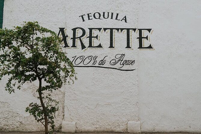 Private Tour to Tequila with Tequila Arette Tasting - A Deep Dive into the Experience