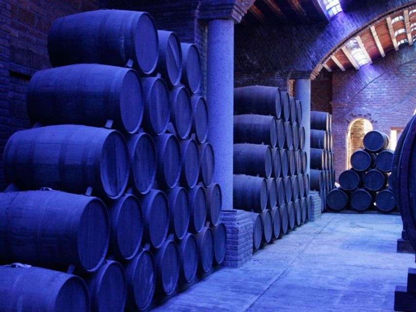 Private Tour to Tequilera Corralejo and Archaeological Zone - Hacienda De Corralejo