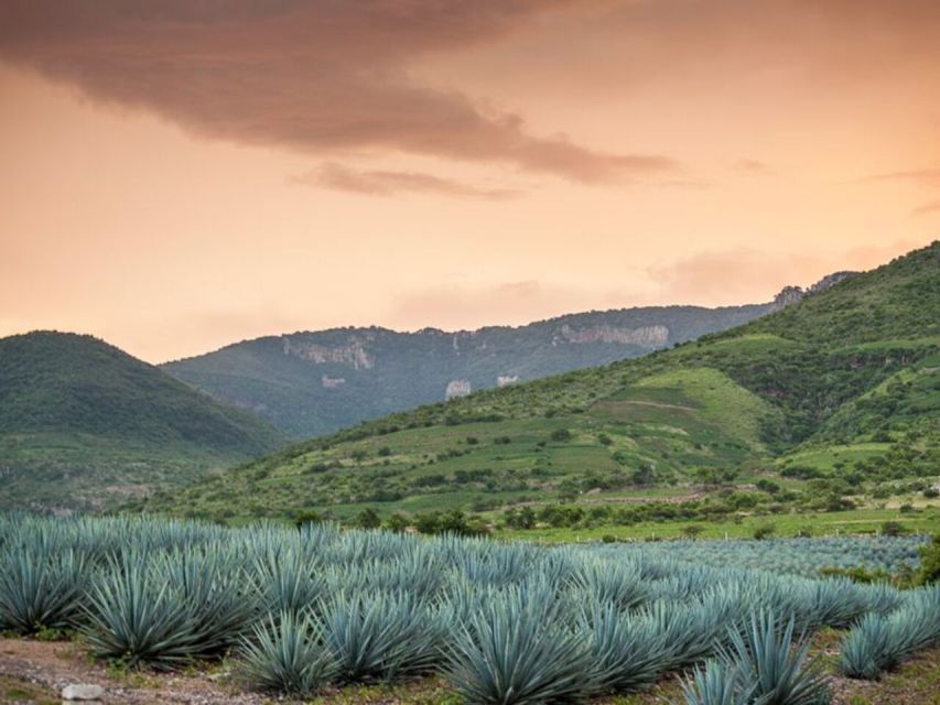 Private Tour to Tequilera Corralejo and Archaeological Zone - Important Information