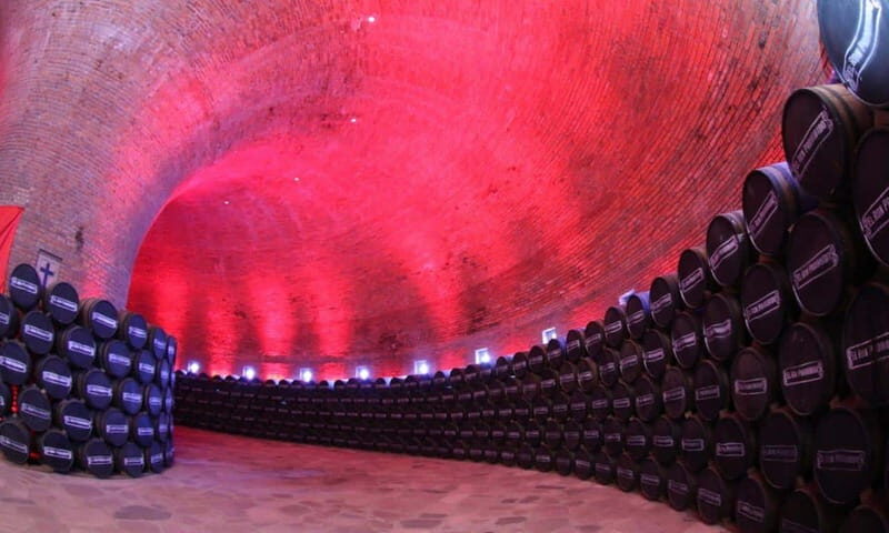 Private Tour to Tequilera Corralejo and Piramides Zone - A Detailed Look at the Experience