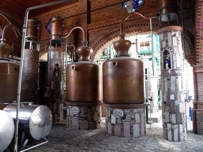 Private Tour to Tequilera Corralejo and Piramides Zone - FAQ