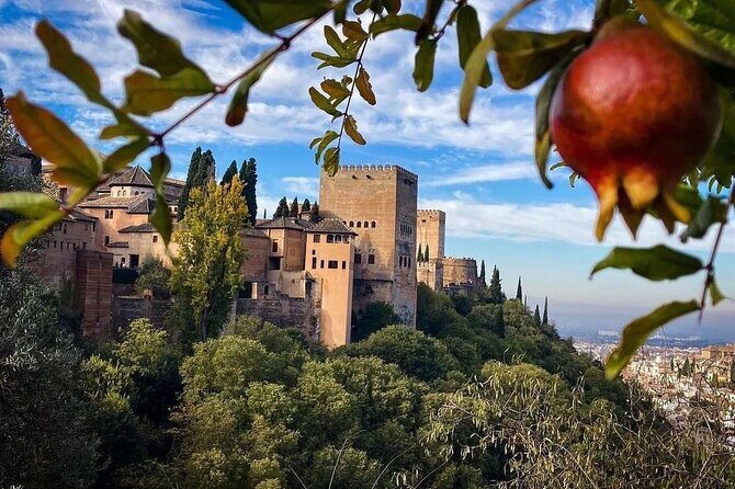 Private Tour to The Alhambra and Generalife from Motril port - Returning to Motril