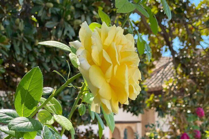 Private Tour to The Alhambra and Generalife from Motril port - Motril: The Starting Point