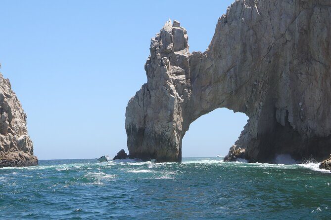 Private Tour to the Arch of Cabo San Lucas by Glass Bottom Boat - An Overview of the Experience