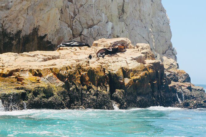Private Tour to the Arch of Cabo San Lucas by Glass Bottom Boat - Final Thoughts