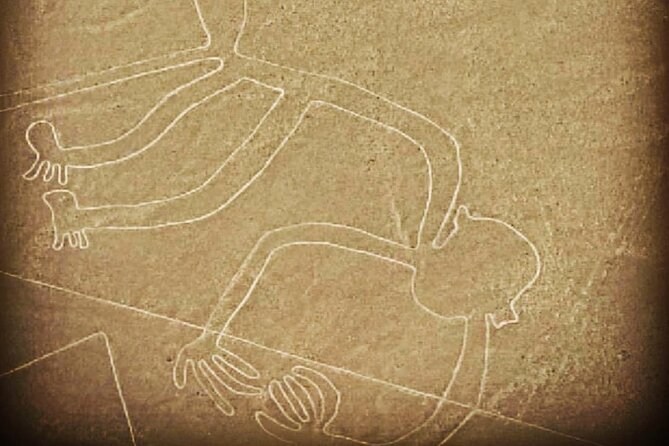 Private Tour to the Astonished Nazca Lines and Huacachina Oasis - Accessibility Considerations