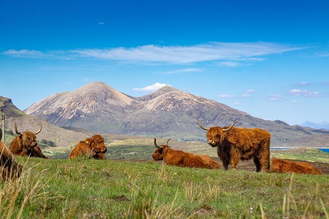 Private Tour to the Famous Glenfinnan, Glencoe & More, Inverness - Who Should Consider This Tour?