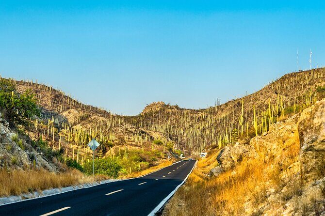 Private Tour to the Tehuacán Biosphere Reserve - Key Points