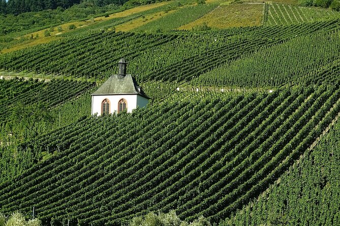 Private Tour to The Vineyards of Etyek - Accessibility and Public Transit