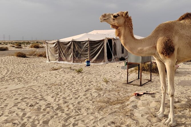 Private Tour to the Yellow Lake and Sand Dunes - Special Offers
