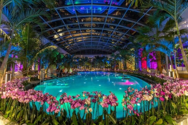 PRIVATE TOUR to Therme Bucuresti  Entrance Ticket included - Introduction