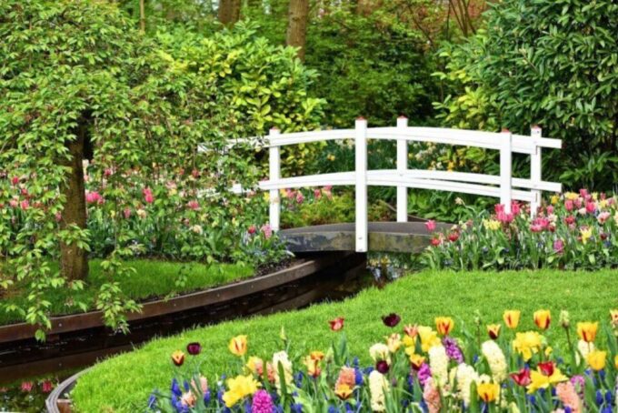 Private Tour to Tulip Experience, Keukenhof & Giethoorn - Included Activities