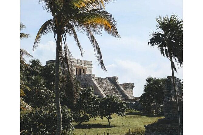 Private Tour to Tulum, Cenote and Swimming with Turtles - What’s Included and What’s Not