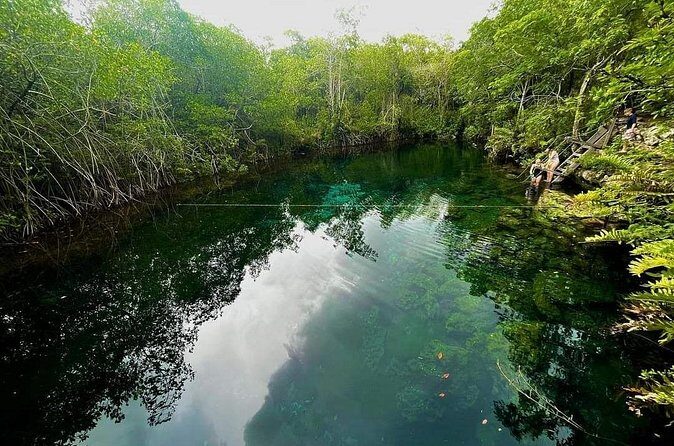 Private Tour to Tulum Cenotes Sac Actun - The Sum Up