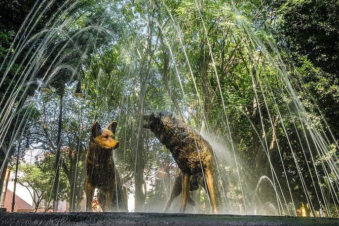 Private Tour to visit Coyoacan and Frida Kahlo Museum - FAQ