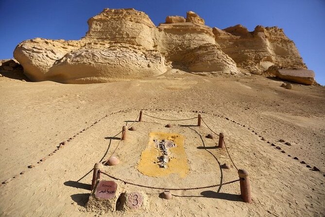 Private Tour to Whales Valley & Wadi El Rayan Waterfalls in El Fayoum From Cairo - Good To Know