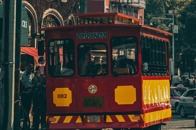 Private Tour to Xochimilco, Coyoacan and Frida Kahlo Museum - Who Should Consider This Tour?