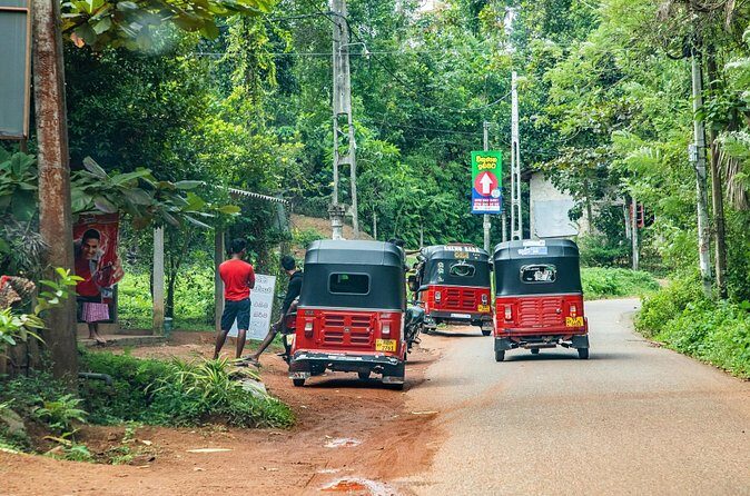 Private Tour Tuk-Tuk Adventures Rainforest and Beach Hopping - The Experience Provider and Booking Details
