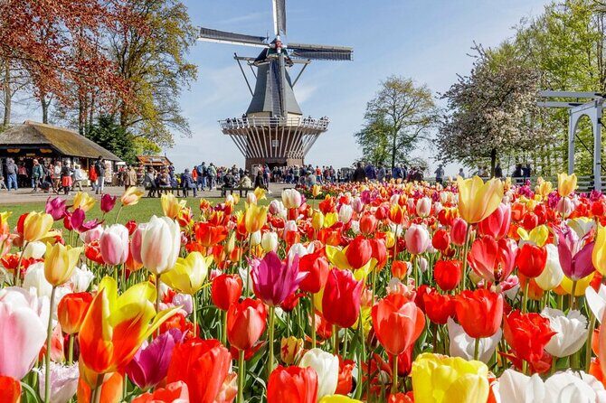 Private Tour Tulip Gardens (Keukenhof) and Dutch highlights - What Sets This Tour Apart: A Deep Dive