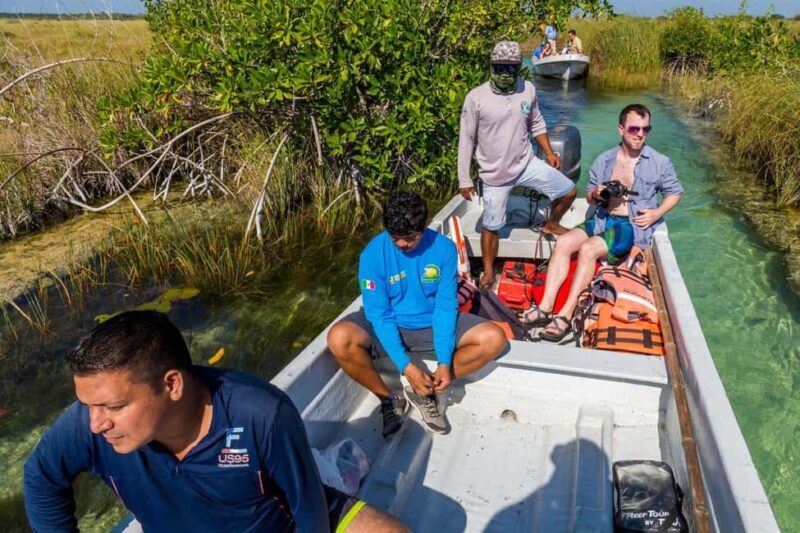 Private Tour: Tulum Ruins, Natural Waterways Float & Tacos - Introduction: Why This Tour Stands Out