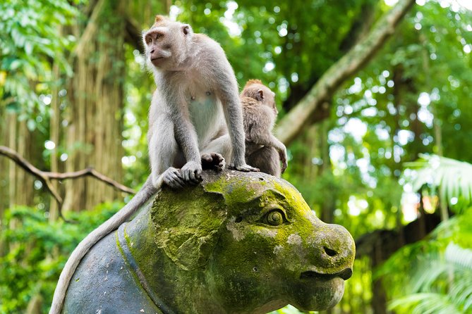 Private Tour: Ubud Highlights - Included Experiences