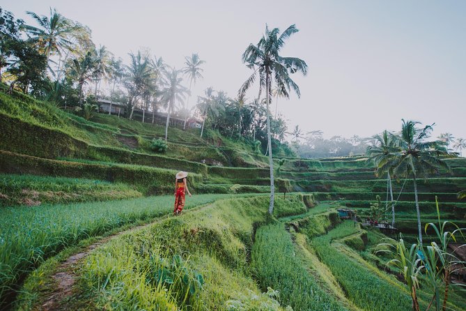 Private Tour: Ubud Highlights - Meeting and Pickup Details