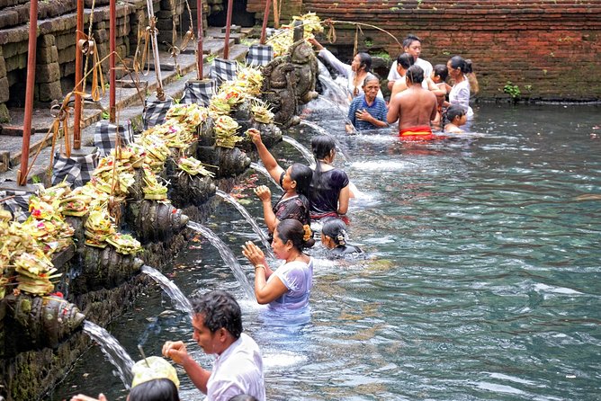 Private Tour: Ubud Highlights - Visit Natural Attractions