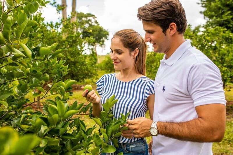 Private Tour Uxmal Land Rover Vintage safari & Mayan brunch - Analyzing the Value