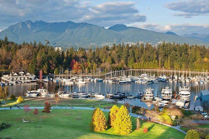 Private Tour: Vancouver Sightseeing and Capilano Suspension Bridge - Capilano Suspension Bridge Experience