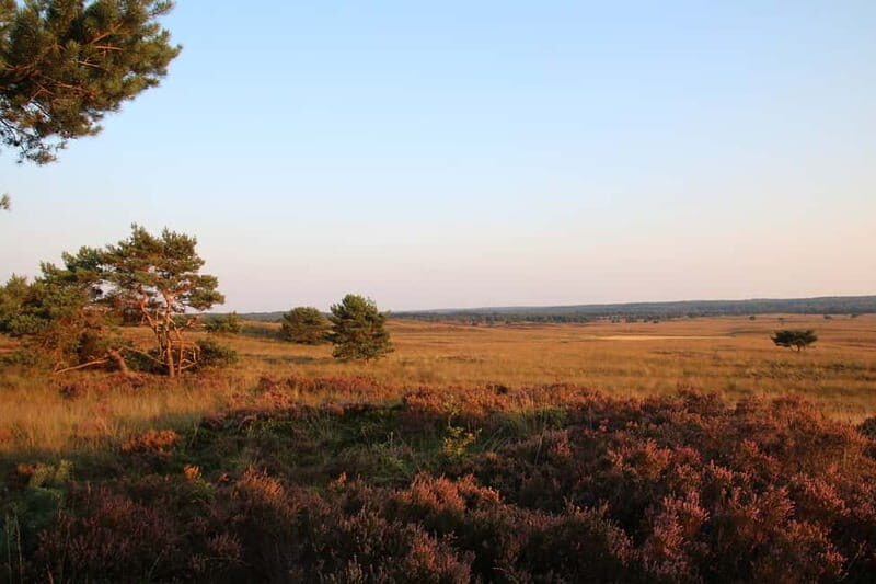Private Tour Veluwe National Park and Kröller Müller Museum - Who Is This Tour Best For?