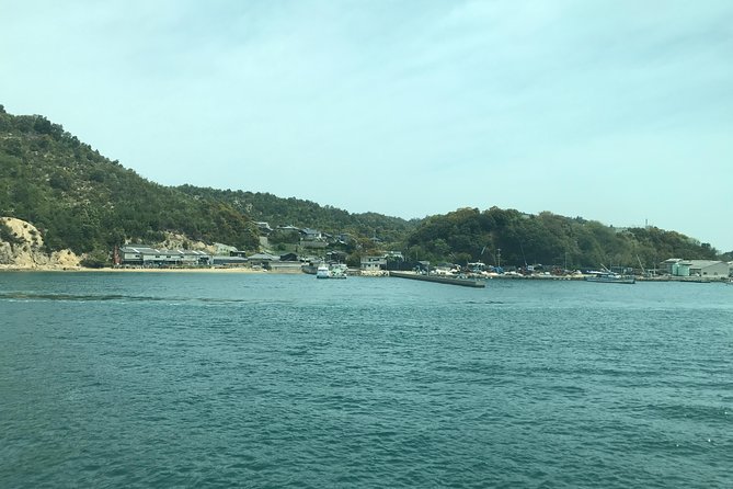 Private Tour: Visit Naoshima Art Island With an Expert - Meeting and Pickup Details