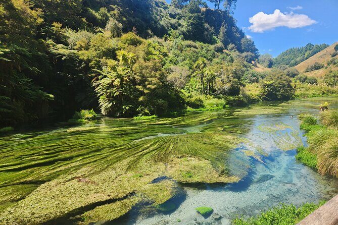 Private Tour WaiOtapu & Huka Falls & Blue springs from Auckland - Authentic Feedback from Travelers