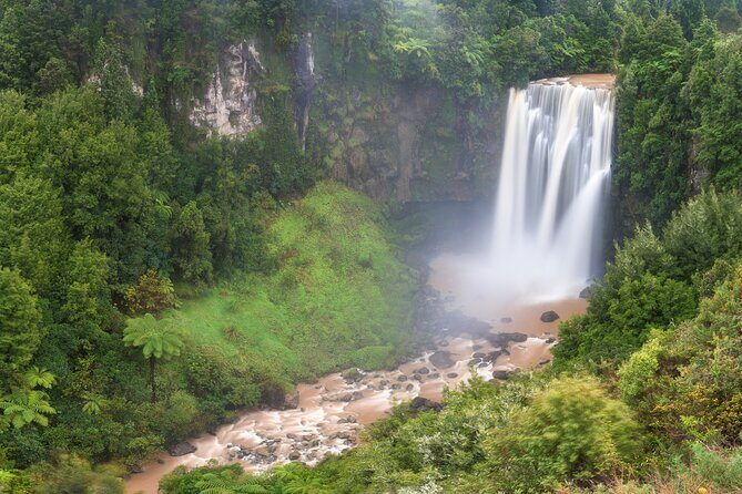 Private Tour Waitomo Caves from Auckland - Practical Details