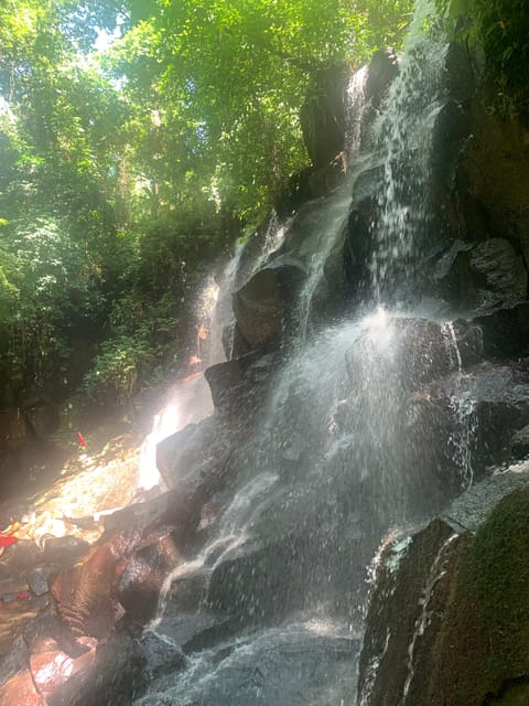 Private Tour Waterfall Temple and Rice Terrace in Ubud - Booking Information