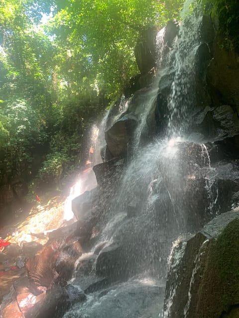 Private Tour Waterfall Temple and Rice Terrace in Ubud - Highlights of Rice Terrace