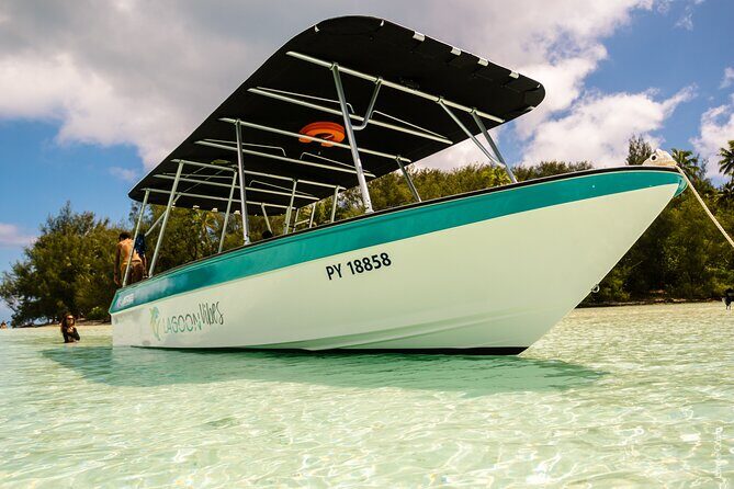 Private tour whale watching and snorkeling in Moorea - Additional Considerations