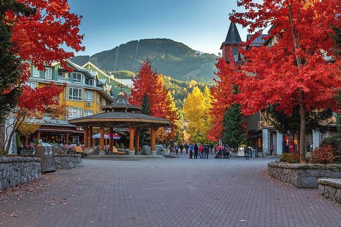 Private Tour: Whistler Day Trip From Vancouver - Tour Logistics