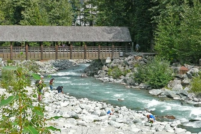 Private Tour: Whistler Day Trip From Vancouver - Traveler Reviews and Feedback