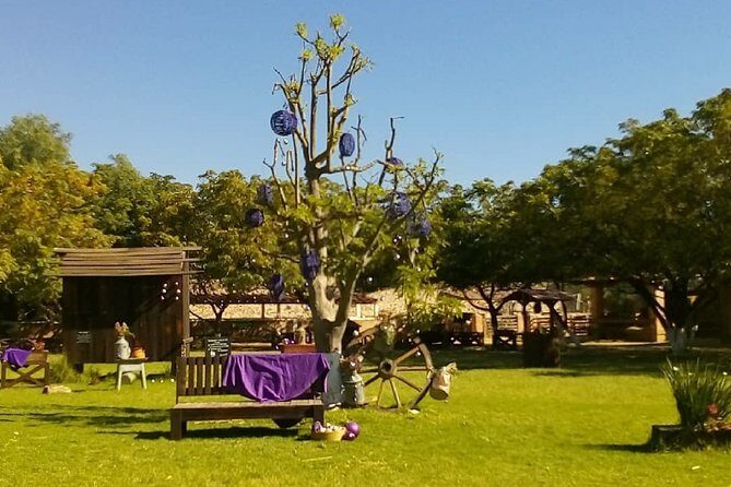 Private Tour: Wine and Cheese Route from CDMX (All included) - Who Should Consider This Tour?