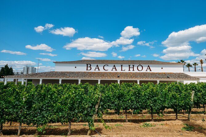 PRIVATE TOUR WINE TASTING QUINTA BACALHÔA & JOSÉ MARIA FONSECA (Setubal Region) - The Itinerary in Detail