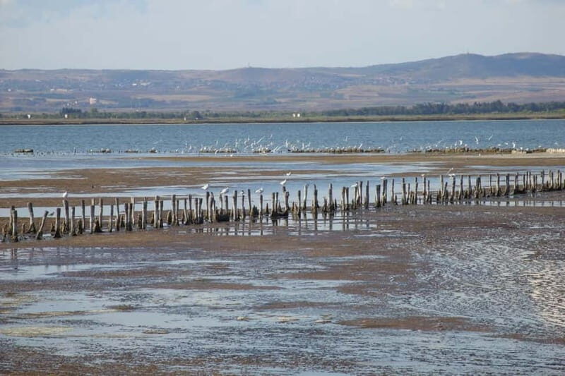 Private Tour: Wine Tasting Tour, Mud Baths, History & more - Authentic Experiences That Stand Out