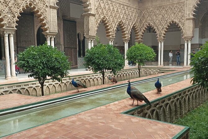 Private Tour with Local Guide to know the Seville Essential - An In-Depth Look at the Seville "Must-See" Tour