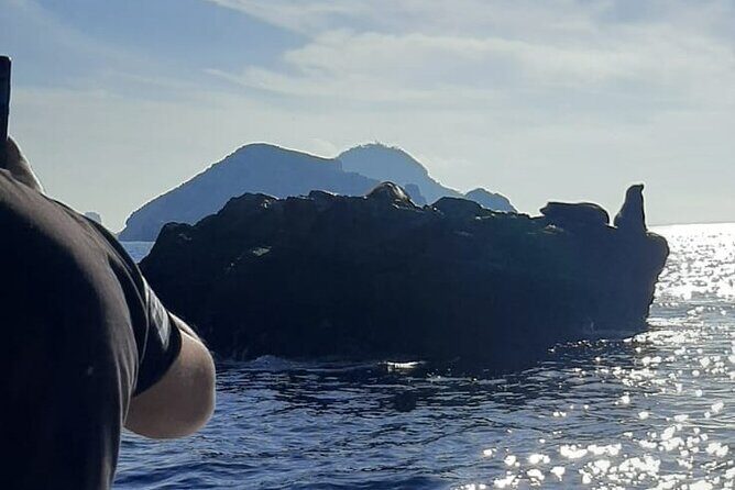 Private tour with sea lions and snorkeling - Summary