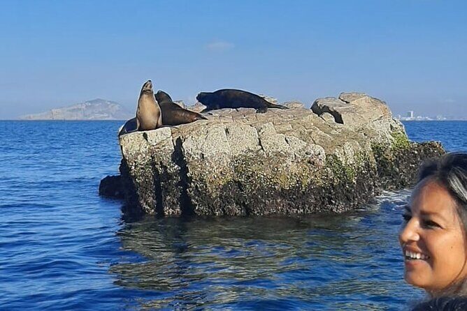 Private tour with sea lions and snorkeling - FAQ