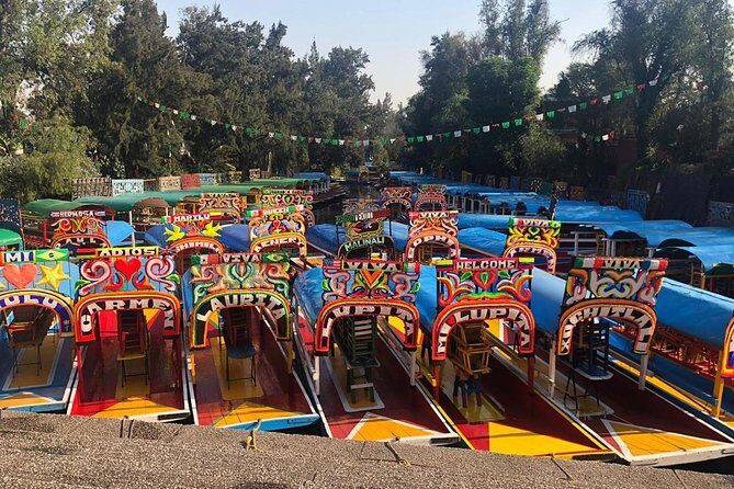 Private Tour: Xochimilco, Coyoacan and Frida Kahlo Museum. - Key Points