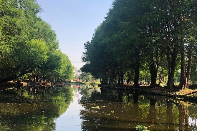 Private Tour: Xochimilco, Coyoacan and Frida Kahlo Museum. - Frida Kahlo Museum: The Iconic Blue House