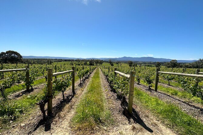 Private Tour: Yarra Valley Wine, Cheese, Bubbles & Chocolaterie - FAQs