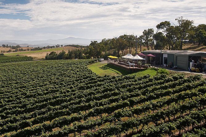 Private Tour: Yarra Valley Wineries with Wine Tastings - The Sum Up
