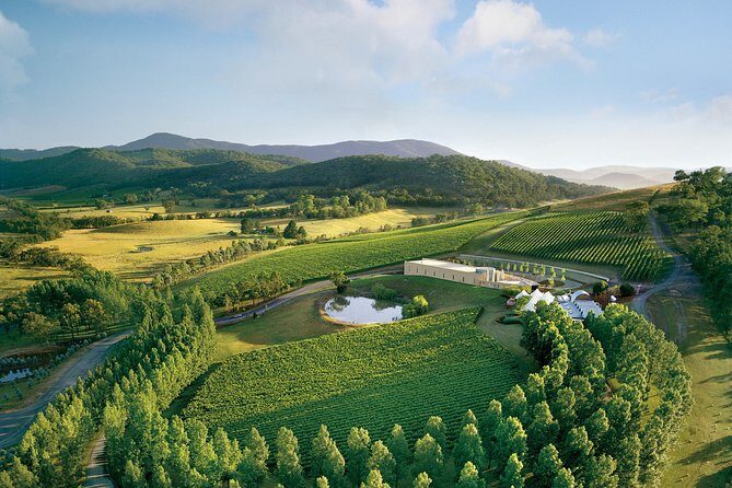 [PRIVATE TOUR] Yarra Valley Winery | Day Tour - Yarra Yering: High-End Red Wines