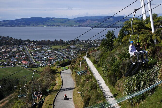 Private Tour Ziplining Forest Adventure from Rotorua - A Closer Look at the Tour Experience
